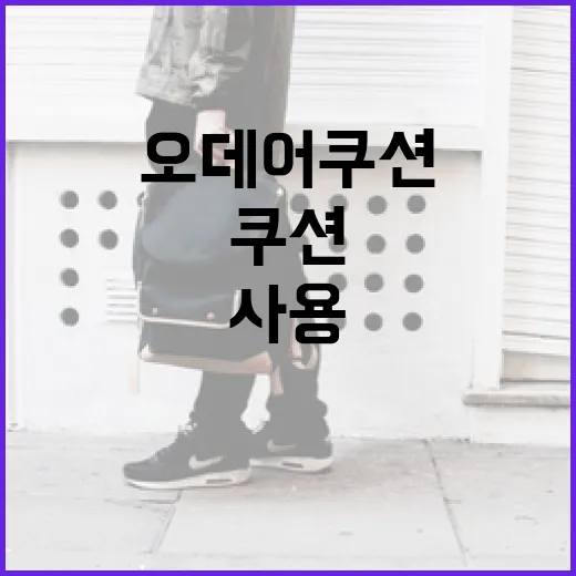 오데어 쿠션을 효과적으로 사용하는 방법 - 요약