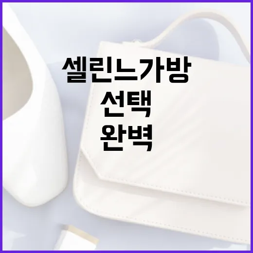 셀린느 가방을 완벽하게 선택하는 방법 - 요약