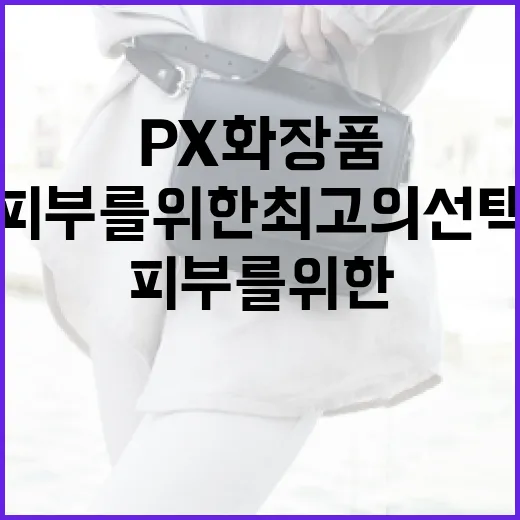 피부를 위한 최고의 선택, PX 화장품 활용 방법 - 요약