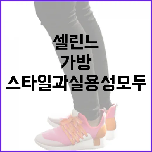 셀린느 가방을 선택하는 방법: 스타일과 실용성 모두 잡기 - 요약