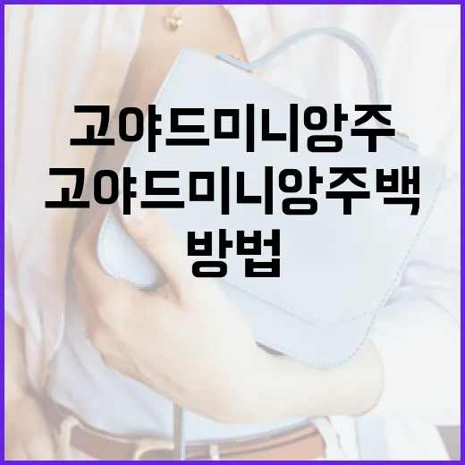 고야드 미니앙주 백을 스타일링하는 방법 - 요약