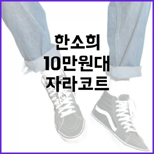 한소희 스타일: 10만원대로 자라 코트 코디하는 방법 - 요약