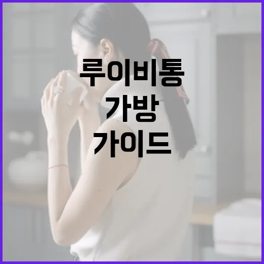루이비통 가방을 구매하는 방법: 초보자를 위한 가이드 - 요약