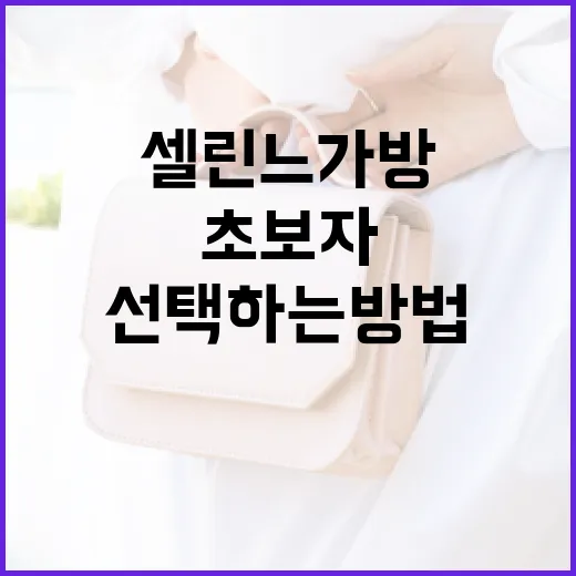 셀린느 가방을 선택하는 방법: 초보자를 위한 가이드 - 요약