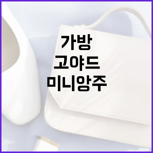 고야드 미니앙주 가방을 완벽하게 활용하는 방법 - 요약