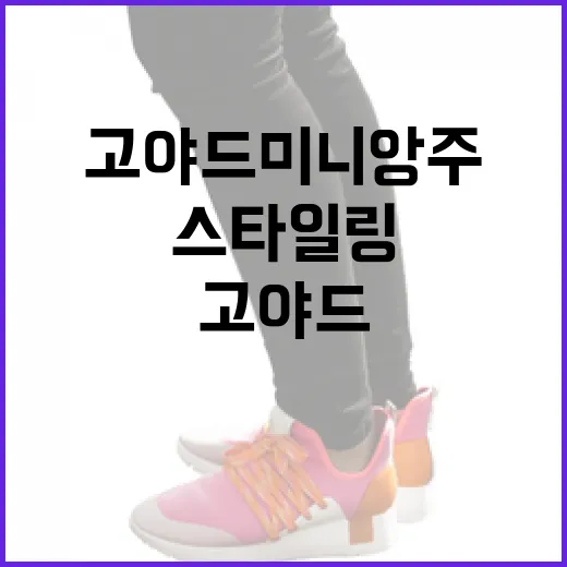 고야드 미니앙주 스타일링하는 방법 - 요약