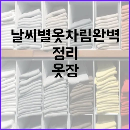 날씨별 옷차림 완벽 가이드: 계절 따라 옷장 정리하는 방법 - 요약