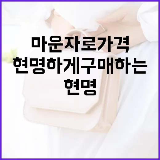 마운자로 가격을 알고 현명하게 구매하는 방법 - 요약