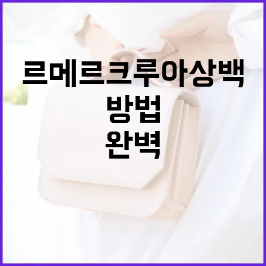 르메르 크루아상백을 완벽하게 활용하는 방법 - 요약
