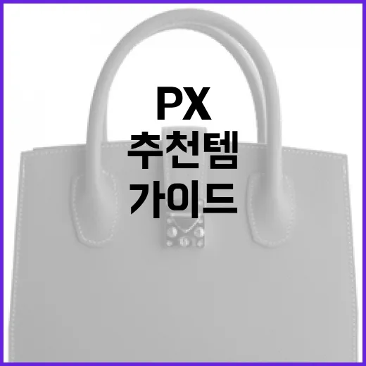 초보자를 위한 PX 추천템 구매 가이드 - 요약