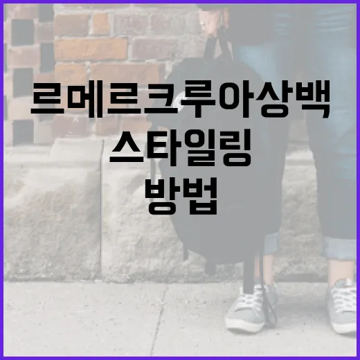 르메르 크루아상백으로 스타일링하는 방법 - 요약