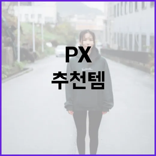 일상 생활을 더욱 편리하게! px 추천템 활용 방법 - 요약