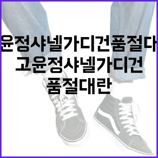 고윤정 샤넬 가디건 품절 대란을 극복하는 방법 - 요약