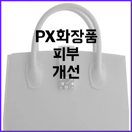 px 화장품으로 피부를 개선하는 방법 - 요약