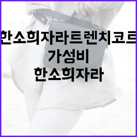 한소희 자라 트렌치코트를 가성비 좋게 구매하는 방법 - 요약