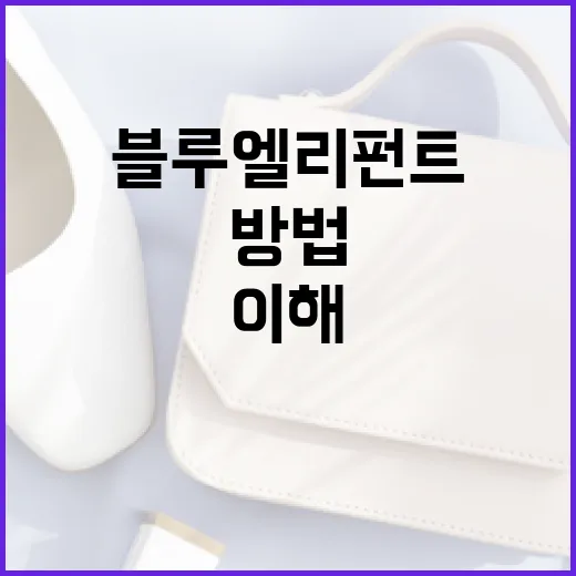 블루엘리펀트를 이해하고 활용하는 방법 - 요약