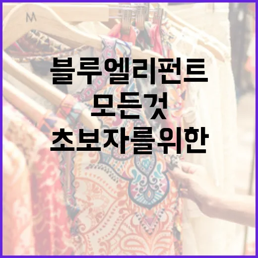 블루엘리펀트에 대해 알아야 할 모든 것: 초보자를 위한 가이드 - 요약