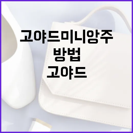 고야드 미니앙주를 스타일리시하게 활용하는 방법 - 요약