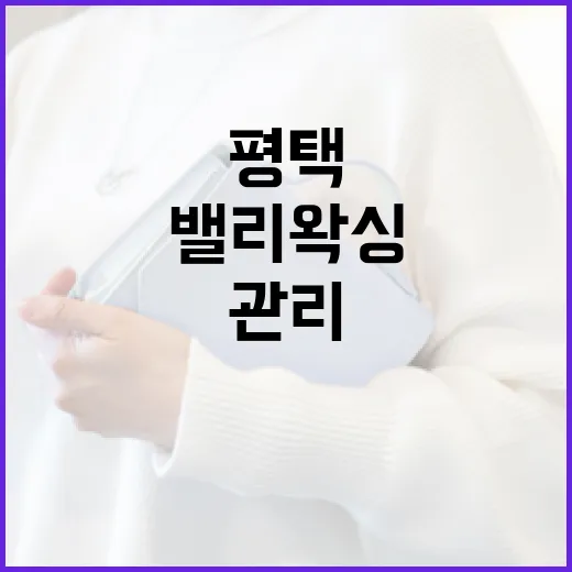 평택에서 밸리왁싱을 받는 방법: 준비부터 사후 관리까지 - 요약