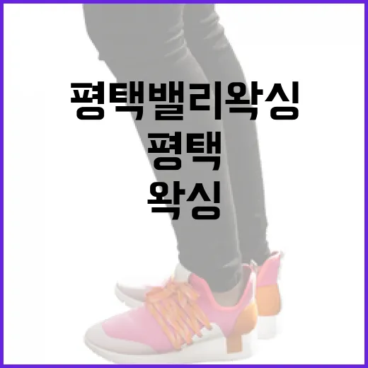 초보자를 위한 평택 밸리왁싱 준비 방법 - 요약