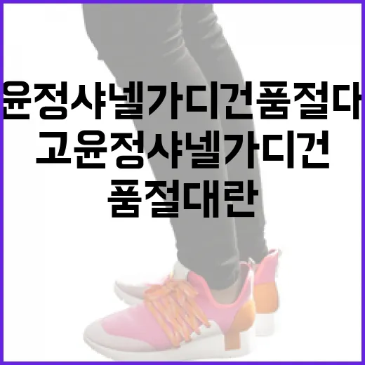 고윤정 샤넬 가디건 품절 대란을 이해하는 방법 - 요약