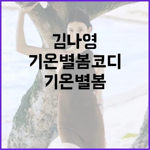 김나영 스타일로 기온별 봄 코디하는 방법 - 요약
