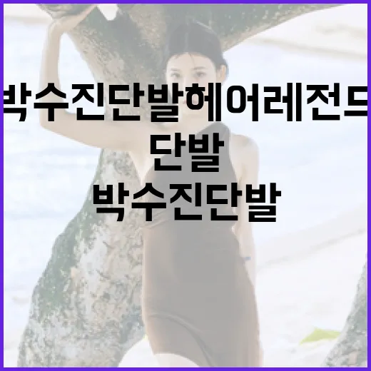 박수진 단발 헤어 레전드 스타일링 방법 - 요약