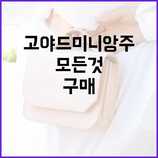 고야드 미니앙주 구매할 때 알아두어야 할 모든 것 - 요약