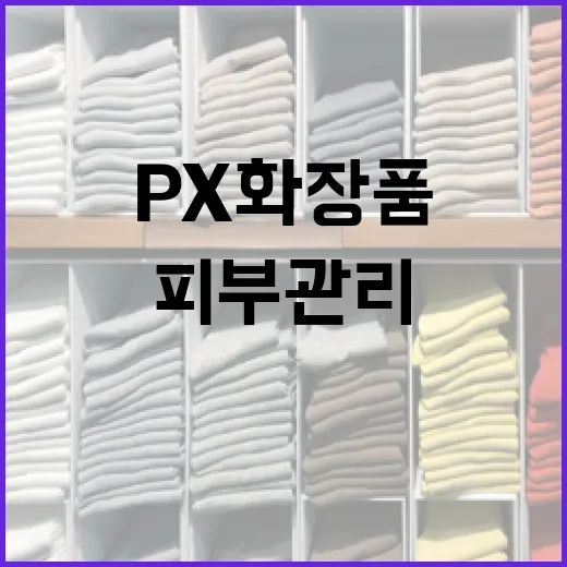 px 화장품으로 피부 관리하는 방법 - 요약