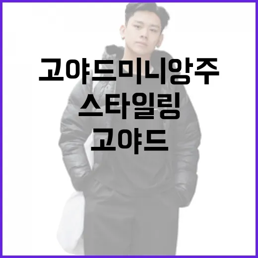 고야드 미니앙주 선택 및 스타일링 방법 - 요약