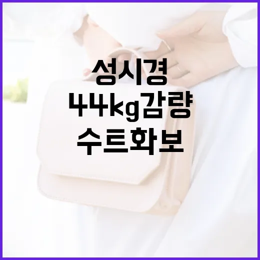 성시경의 44kg 감량 비법과 수트 화보 촬영 성공하는 방법 - 요약