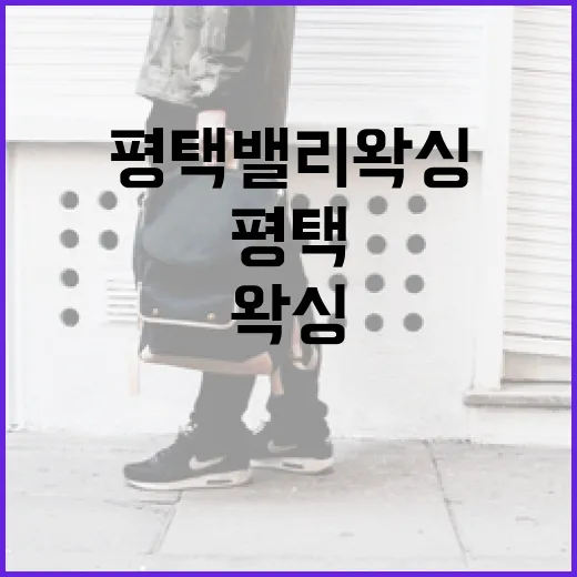 초보자를 위한 평택 밸리왁싱 준비하는 방법 - 요약