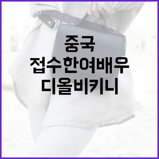 중국을 접수한 여배우의 디올 비키니 스타일 가이드 - 요약