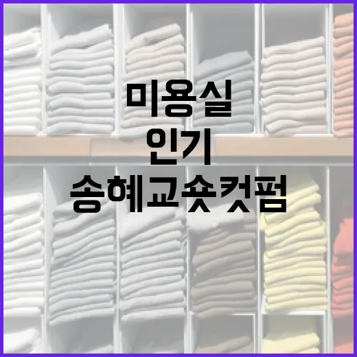 송혜교 숏컷펌을 하려면 이렇게! 인기 미용실 추천 - 요약