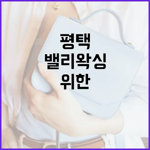 평택에서 밸리왁싱을 받는 방법: 초보자를 위한 가이드 - 요약