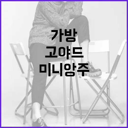 고야드 미니앙주 가방 선택하는 방법 - 요약