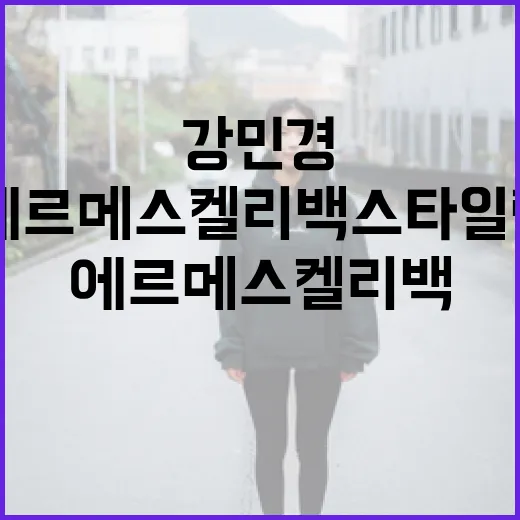 강민경처럼 에르메스 켈리백 스타일링하는 방법 - 요약