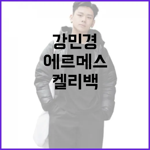 강민경처럼 에르메스 미니 켈리백 구매하는 방법 - 요약