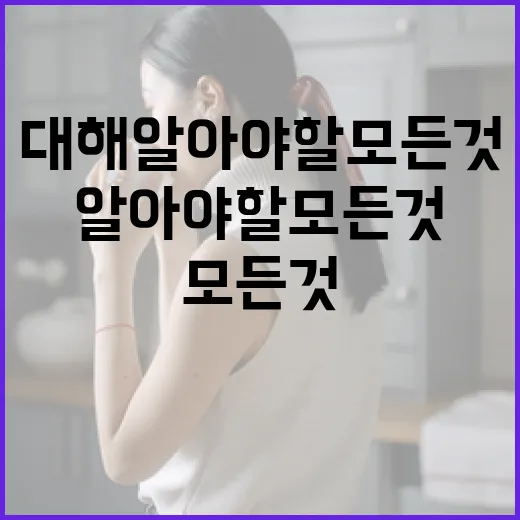 김지원에 대해 알아야 할 모든 것 - 요약