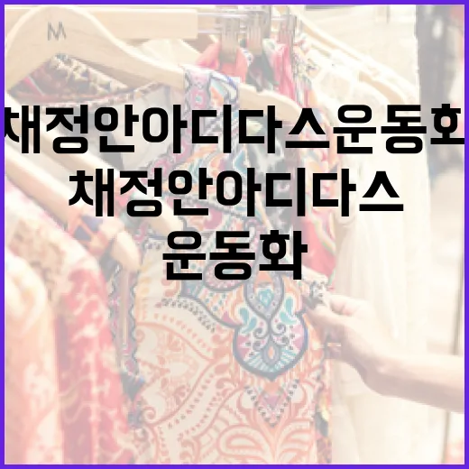 채정안 아디다스 운동화 선택하는 방법 - 요약