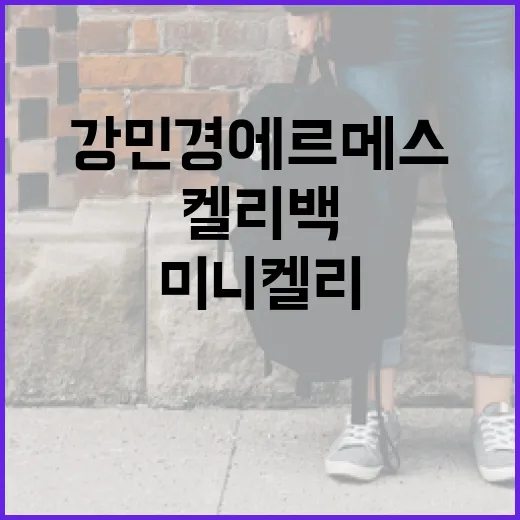 강민경 에르메스 미니 켈리백 가격 알아보는 방법 - 요약