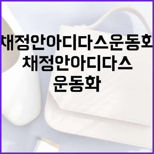 채정안 아디다스 운동화 선택하는 방법 - 요약