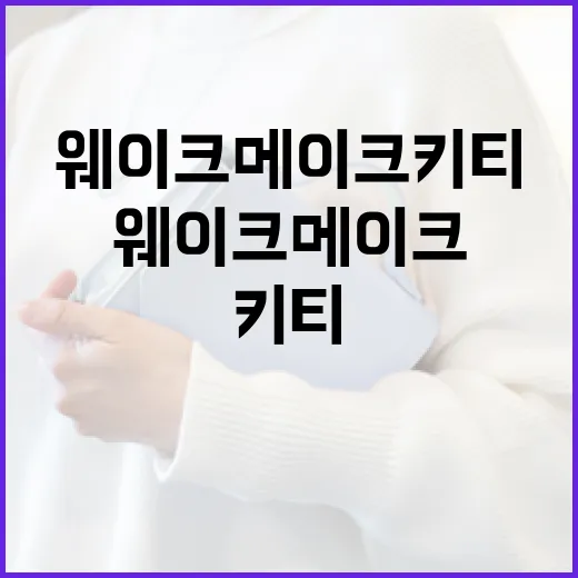 웨이크메이크 키티로 매력적인 메이크업을 완성하는 방법 - 요약