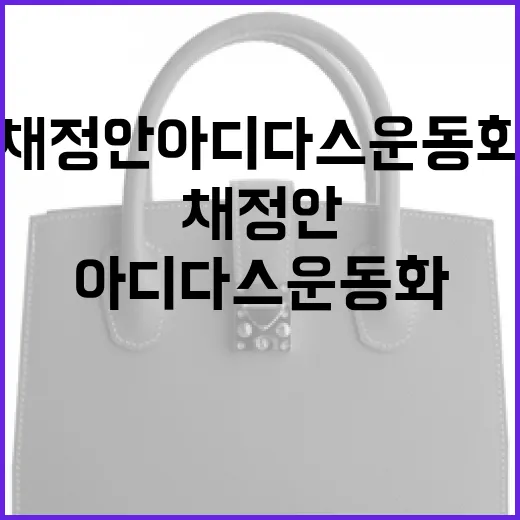 채정안 아디다스 운동화로 스타일리시하게 운동하는 방법 - 요약