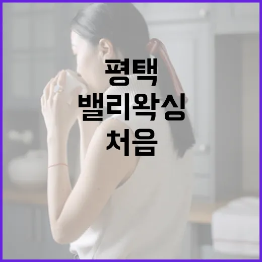 평택에서 밸리왁싱을 처음 시도하는 방법 - 요약