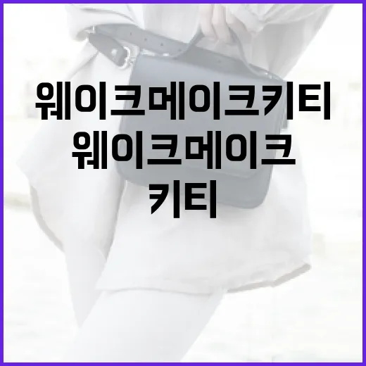 웨이크메이크 키티로 꾸미는 방법 - 요약