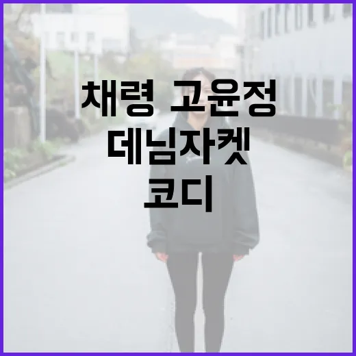 채령·고윤정 스타일로 데님 자켓 코디하는 방법 - 요약