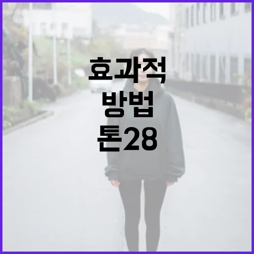 톤28을 효과적으로 사용하는 방법 - 요약