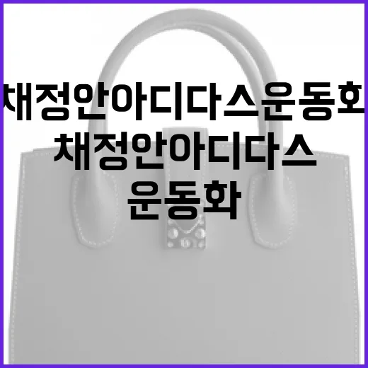 채정안 아디다스 운동화로 스타일링하는 방법 - 요약