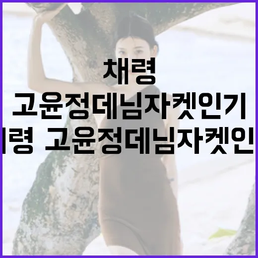 채령·고윤정 데님 자켓 인기를 높이는 방법 - 요약